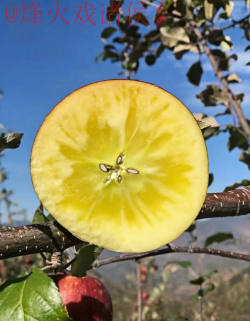 世界杯盘口苹果全站